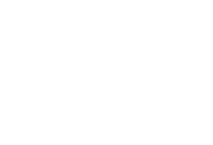 Turno